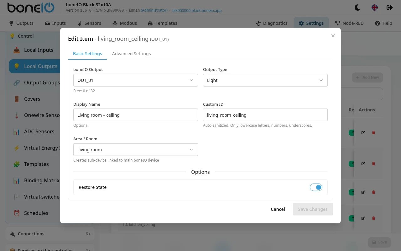 Settings → Control → Local Outputs, form with Basic Settings tab